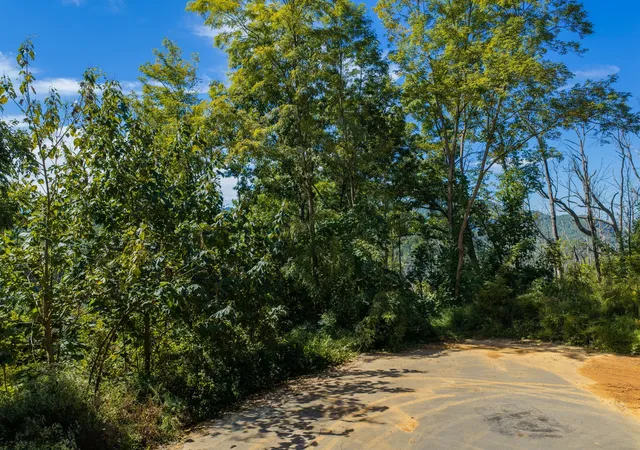 Photo 2 of Land for sale at 0 Spurling Rd, Sevierville, TN 37862 | MLS# 3614545 | Listing updated on 2026-10-08