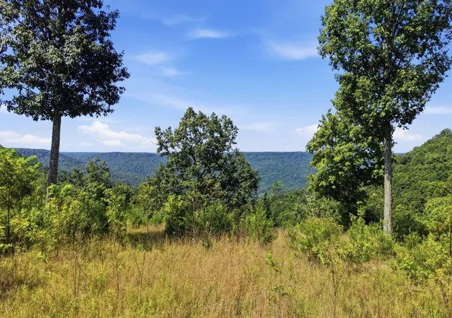Photo 2 of Land for sale at 622 Coyote Trl, Spencer, TN 38585 | MLS# 3614505 | Listing updated on 2026-10-09