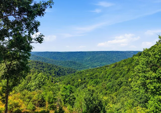 Photo 3 of Land for sale at 622 Coyote Trl, Spencer, TN 38585 | MLS# 3614505 | Listing updated on 2026-10-09