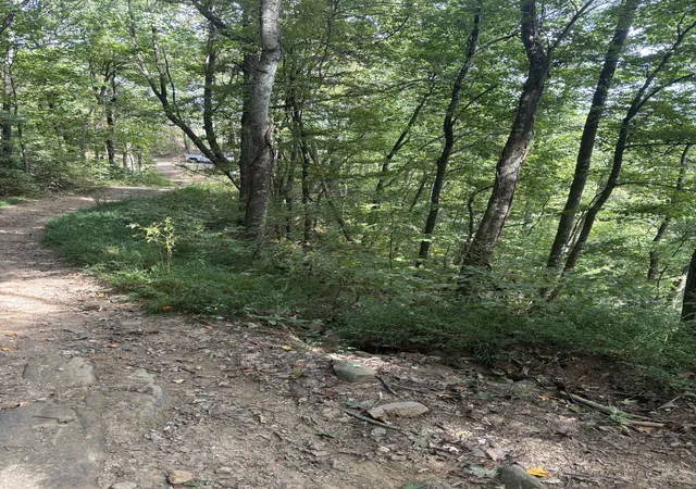 Photo 2 of Land for sale at 0 Blalock Dr W, Turtletown, TN 37391 | MLS# 3614540 | Listing updated on 2026-10-08