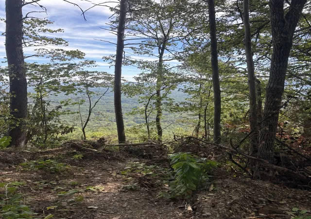 Photo 3 of Land for sale at 0 Blalock Dr W, Turtletown, TN 37391 | MLS# 3614540 | Listing updated on 2026-10-08