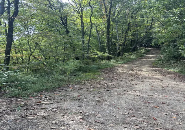 Photo 4 of Land for sale at 0 Blalock Dr W, Turtletown, TN 37391 | MLS# 3614540 | Listing updated on 2026-10-08