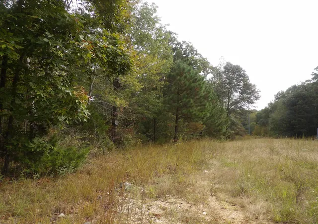 Land for sale at 112 Oak Ridge Dr, Waverly, TN 37185 | MLS# 3615011