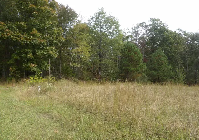 Photo 1 of Land for sale at 112 Oak Ridge Dr, Waverly, TN 37185 | MLS# 3615011 | Listing updated on 2026-10-08