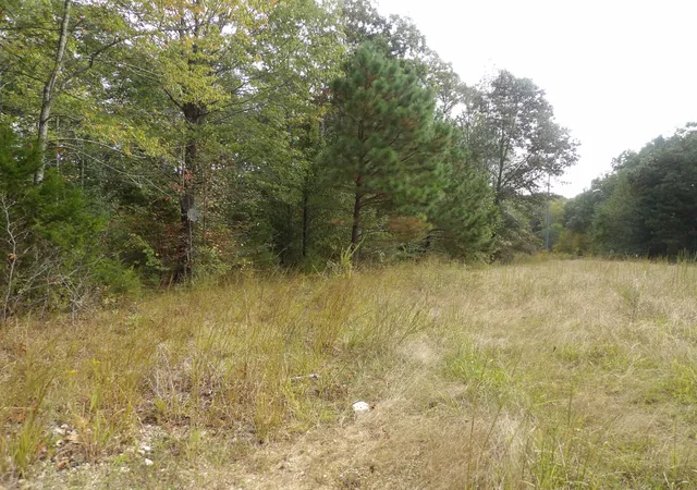 Photo 2 of Land for sale at 112 Oak Ridge Dr, Waverly, TN 37185 | MLS# 3615011 | Listing updated on 2026-10-08