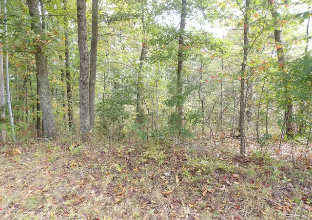 Photo 3 of Land for sale at 112 Oak Ridge Dr, Waverly, TN 37185 | MLS# 3615011 | Listing updated on 2026-10-08