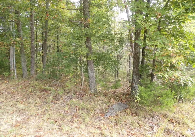 Photo 4 of Land for sale at 112 Oak Ridge Dr, Waverly, TN 37185 | MLS# 3615011 | Listing updated on 2026-10-08