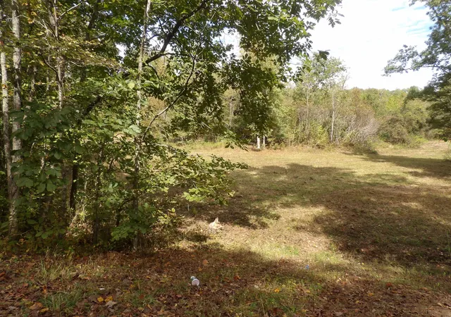 Land for sale at 2339 Highway 230, Waverly, TN 37185 | MLS# 3615111