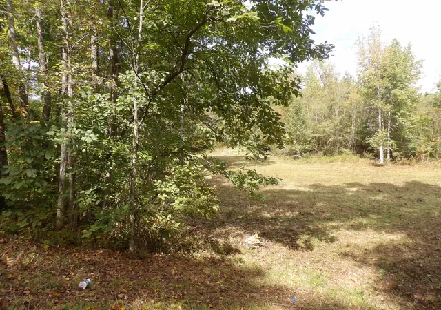 Photo 1 of Land for sale at 2339 Highway 230, Waverly, TN 37185 | MLS# 3615111 | Listing updated on 2026-10-08