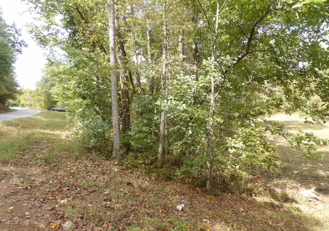 Photo 2 of Land for sale at 2339 Highway 230, Waverly, TN 37185 | MLS# 3615111 | Listing updated on 2026-10-08