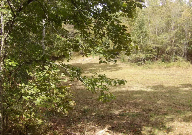 Photo 3 of Land for sale at 2339 Highway 230, Waverly, TN 37185 | MLS# 3615111 | Listing updated on 2026-10-08