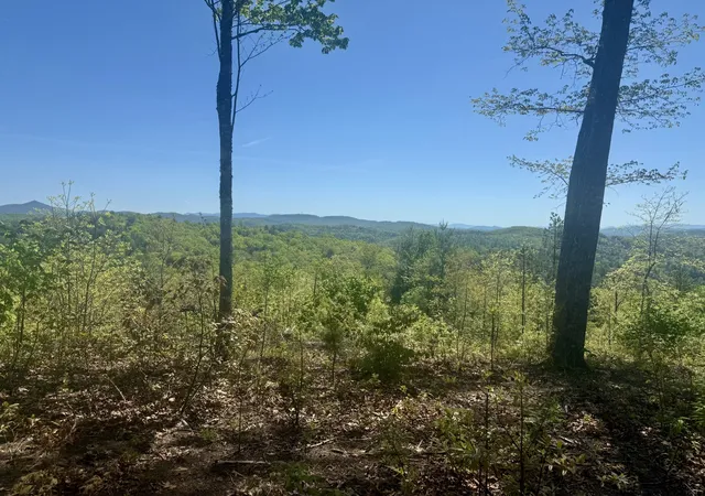 Photo 4 of Land for sale at 0 Wayah Rdg, Murphy, NC 28906 | MLS# 3615170 | Listing updated on 2026-10-08
