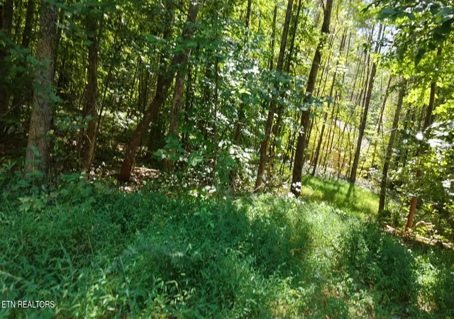 Photo 3 of Land for sale at 315 Enclave Way, Kingston, TN 37763 | MLS# 3615264 | Listing updated on 2026-10-08