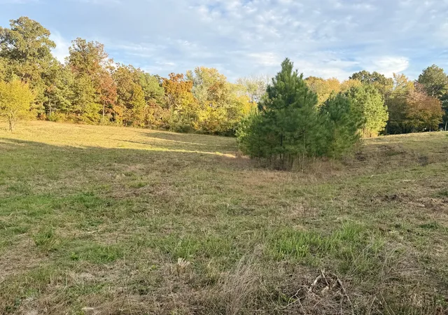 Photo 1 of Land for sale at 0 Sara Acres Dr, Tennessee Ridge, TN 37178 | MLS# 3615351 | Listing updated on 2026-10-28