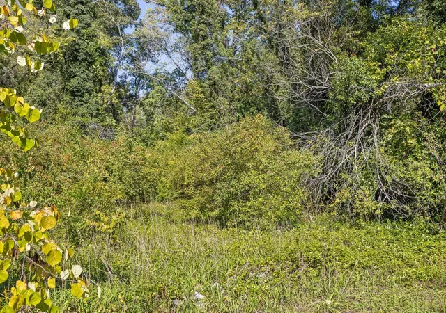 Photo 4 of Land for sale at 1212 Cinderella Rd, Lookout Mountain, GA 30750 | MLS# 3615380 | Listing updated on 2026-10-08