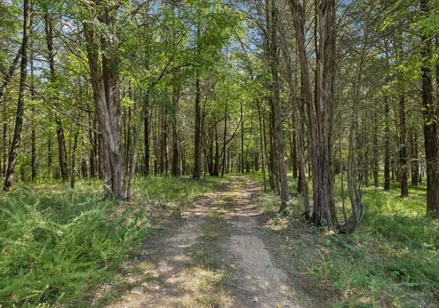 Photo 3 of Land for sale at 1139 S Wrights Ln, Gallatin, TN 37066 | MLS# 3615395 | Listing updated on 2026-10-09