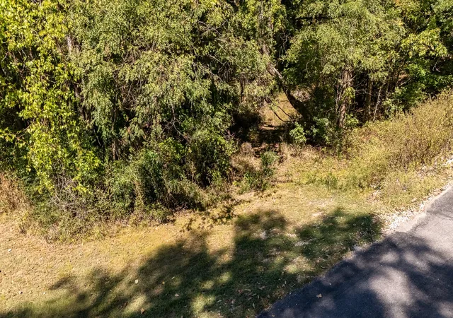 Photo 3 of Land for sale at 330 Emma Kay Ln, Clifton, TN 38425 | MLS# 3615409 | Listing updated on 2026-10-09