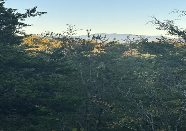 Photo 2 of Land for sale at 28 Lake Smoky Rd, Sevierville, TN 37876 | MLS# 3619709 | Listing updated on 2026-10-19