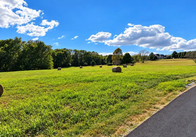 Photo 1 of Land for sale at 6501 Stargazer Ln, College Grove, TN 37046 | MLS# 3615438 | Listing updated on 2026-10-09