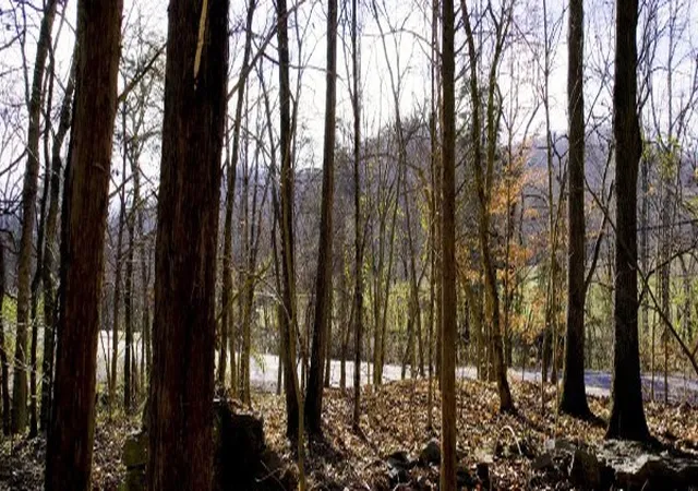 Photo 2 of Land for sale at 0 Whites Crk Pike, Whites Creek, TN 37189 | MLS# 3618886 | Listing updated on 2026-10-10