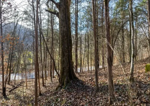 Photo 3 of Land for sale at 0 Whites Crk Pike, Whites Creek, TN 37189 | MLS# 3618886 | Listing updated on 2026-10-10