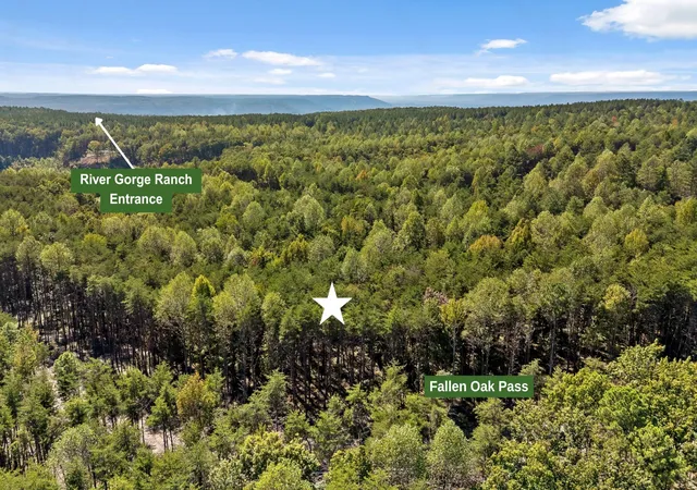 Photo 3 of Land for sale at 2160 Fallen Oak Pass, Guild, TN 37340 | MLS# 3615498 | Listing updated on 2026-10-09