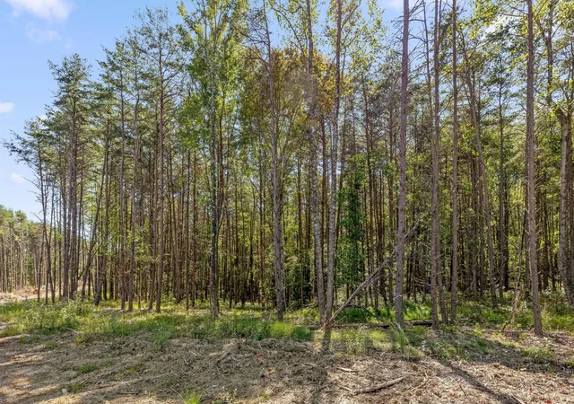 Photo 4 of Land for sale at 2160 Fallen Oak Pass, Guild, TN 37340 | MLS# 3615498 | Listing updated on 2026-10-09