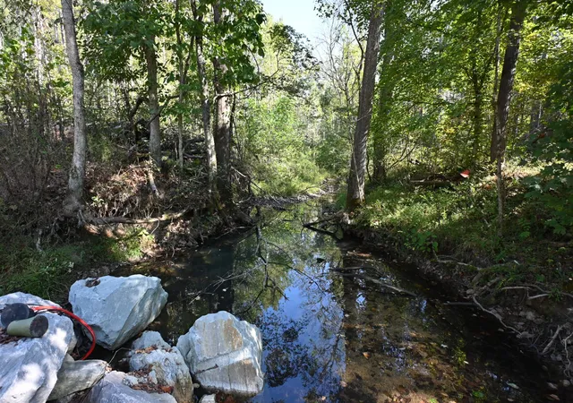 Photo 1 of Land for sale at 1395 Treadwell Prong Rd, Linden, TN 37096 | MLS# 3618575 | Listing updated on 2026-10-09