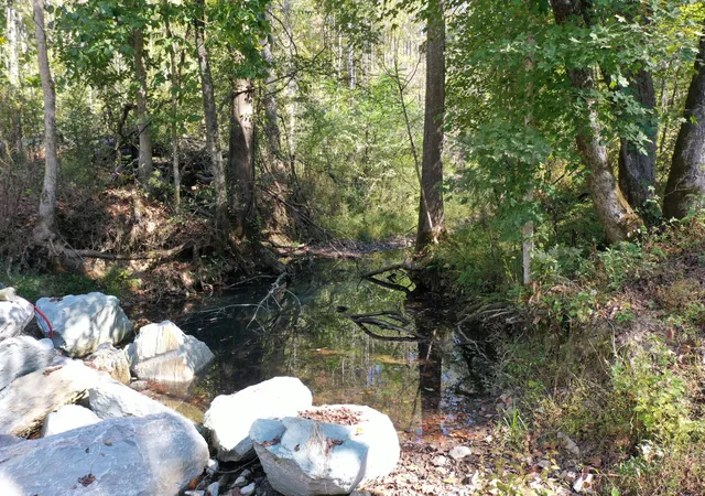 Photo 4 of Land for sale at 1395 Treadwell Prong Rd, Linden, TN 37096 | MLS# 3618575 | Listing updated on 2026-10-09
