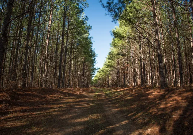 Land for sale at 0 Mayfield Div Rd, Centerville, TN 37033 | MLS# 3615561