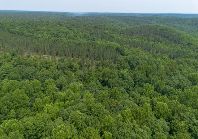 Photo 2 of Land for sale at 0 Mayfield Div Rd, Centerville, TN 37033 | MLS# 3615561 | Listing updated on 2026-10-09