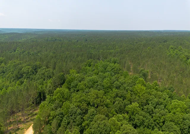 Photo 3 of Land for sale at 0 Mayfield Div Rd, Centerville, TN 37033 | MLS# 3615561 | Listing updated on 2026-10-09