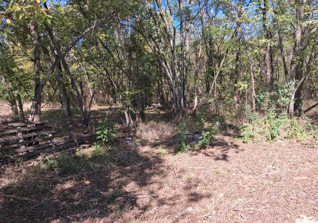 Photo 4 of Land for sale at 918 Belfast Farmington Rd, Lewisburg, TN 37091 | MLS# 3618766 | Listing updated on 2026-10-09