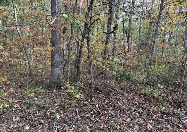 Photo 1 of Land for sale at 0 Copley Cemetery Rd, Jamestown, TN 38556 | MLS# 3615625 | Listing updated on 2026-10-09
