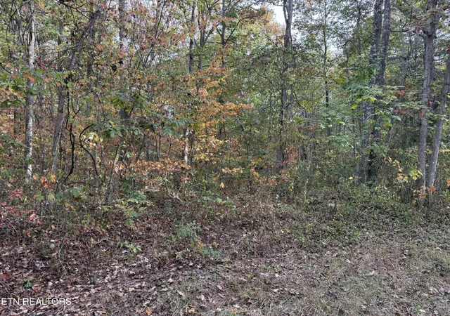 Photo 3 of Land for sale at 0 Copley Cemetery Rd, Jamestown, TN 38556 | MLS# 3615625 | Listing updated on 2026-10-09