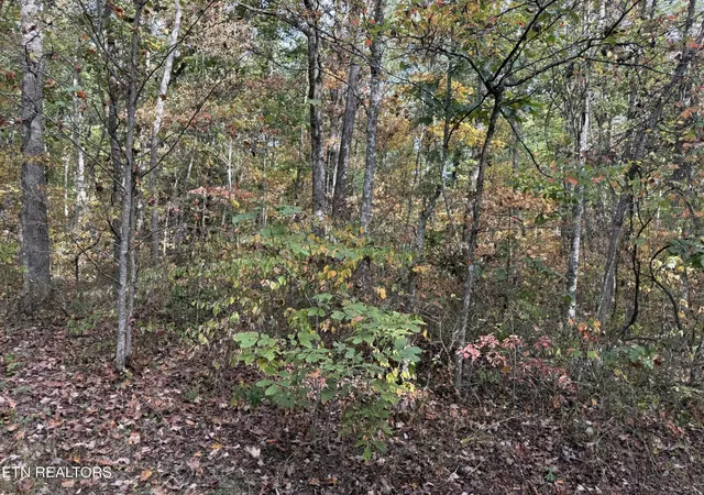 Photo 3 of Land for sale at 0 Copley Cemetery Rd, Jamestown, TN 38556 | MLS# 3615625 | Listing updated on 2026-10-09