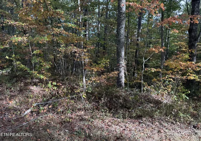 Photo 4 of Land for sale at 0 Copley Cemetery Rd, Jamestown, TN 38556 | MLS# 3615625 | Listing updated on 2026-10-09