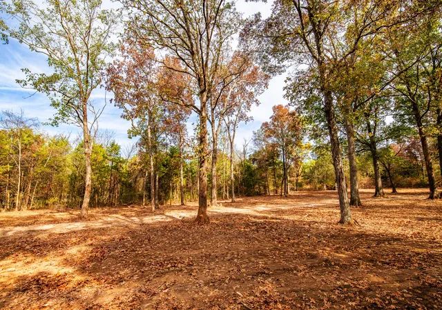 Photo 4 of Land for sale at 6437 Reynolds Rd, Columbia, TN 38401 | MLS# 3618653 | Listing updated on 2026-10-16