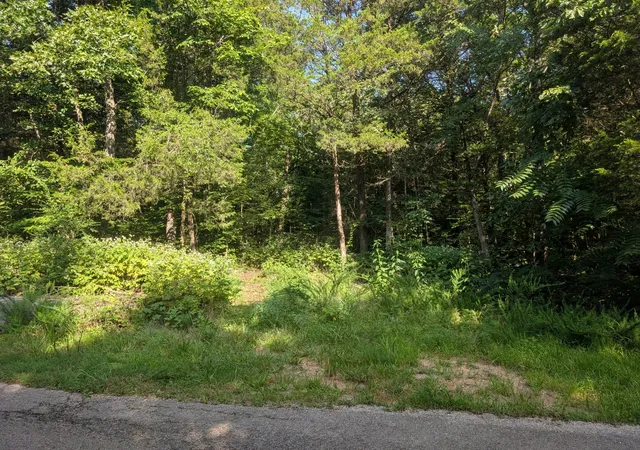 Land for sale at 1256 Spence Ln, Lewisburg, TN 37091 | MLS# 3618814