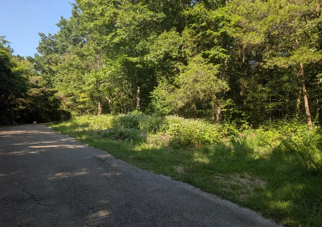 Photo 3 of Land for sale at 1256 Spence Ln, Lewisburg, TN 37091 | MLS# 3618814 | Listing updated on 2026-10-09