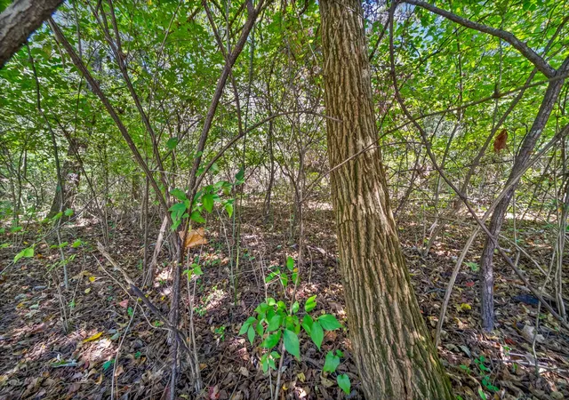 Photo 4 of Land for sale at 501 Brick Church Pike, Goodlettsville, TN 37072 | MLS# 3618920 | Listing updated on 2026-10-10