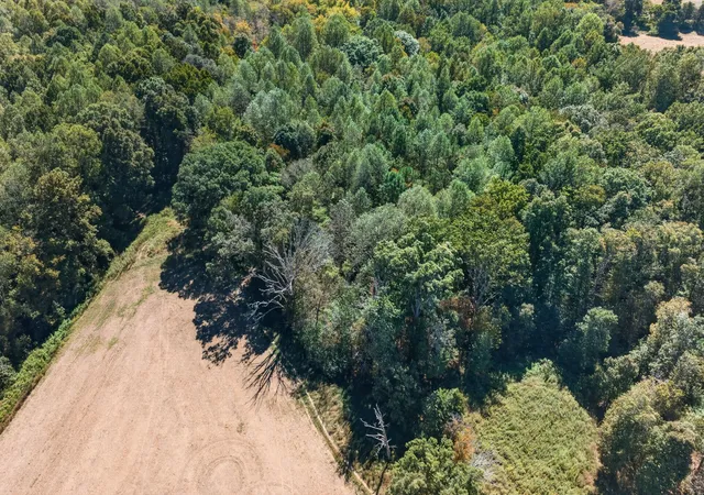 Photo 3 of Land for sale at 0 Shores Rd, Silver Point, TN 38582 | MLS# 3618821 | Listing updated on 2026-10-09