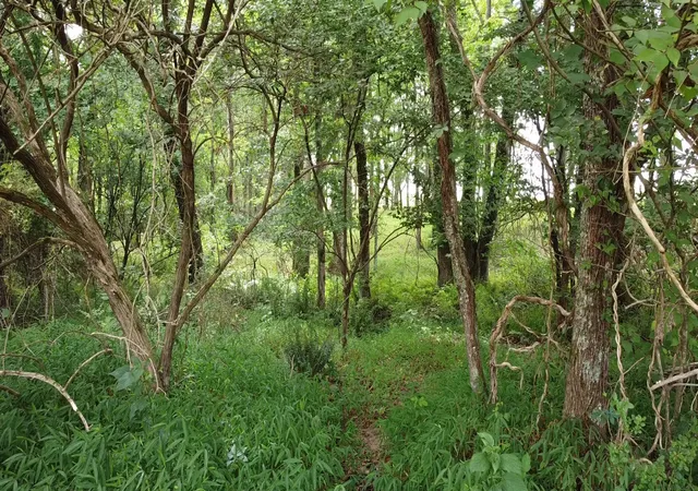 Photo 4 of Land for sale at 25a Bridle Trl, Spencer, TN 38585 | MLS# 3618937 | Listing updated on 2026-10-10