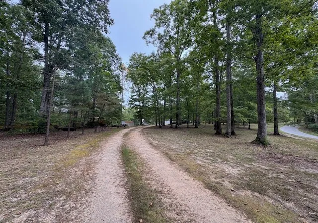 Photo 3 of Land for sale at 4269 Bell Branch Rd, Nunnelly, TN 37137 | MLS# 3618973 | Listing updated on 2026-10-10
