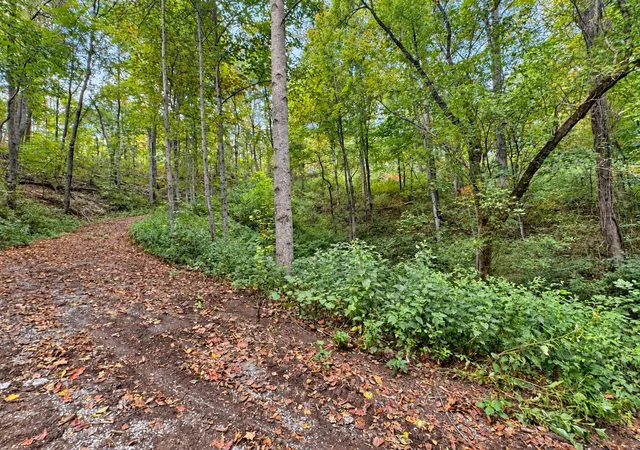 Photo 2 of Land for sale at 0 Harbor Dr, Lancaster, TN 38569 | MLS# 3620793 | Listing updated on 2026-10-23