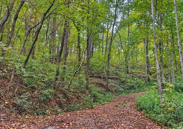 Photo 3 of Land for sale at 0 Harbor Dr, Lancaster, TN 38569 | MLS# 3620793 | Listing updated on 2026-10-23