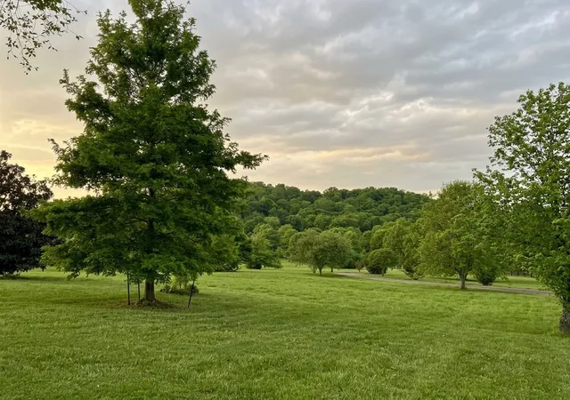 Photo 2 of Single family home for sale at 3215 Kinnard Springs Rd, Franklin, TN 37064 | MLS# 3620556 | Listing updated on 2026-10-14