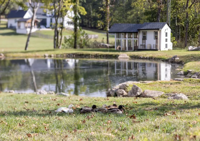 Photo 3 of Single family home for sale at 2650 Callis Rd, Lebanon, TN 37090 | MLS# 3623227 | Listing updated on 2026-10-22