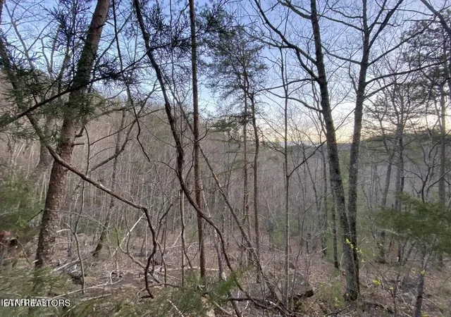 Photo 1 of Land for sale at 0 Beechwood St, Sevierville, TN 37876 | MLS# 3619462 | Listing updated on 2026-10-12
