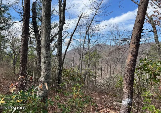 Photo 1 of Land for sale at 0 Chestnut Ridge Ct, Sevierville, TN 37876 | MLS# 3619468 | Listing updated on 2026-10-12